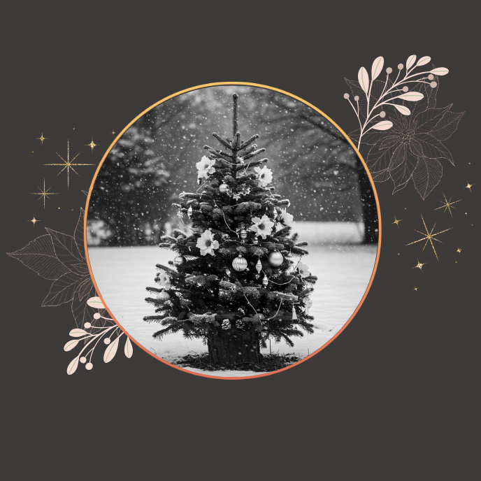 Publika – servizi e formazione per gli enti locali